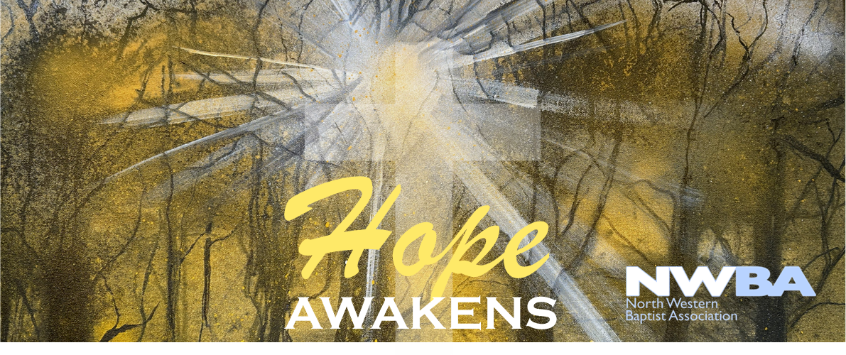 SUn shining through dormant trees - hope awakens